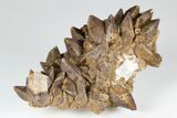 Calcite Crystal Cluster with Purple Fluorite (New Find) - China #177671-1